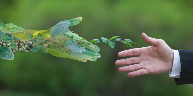 機(jī)器人概念股出現(xiàn)漲停潮 圍繞兩大主線逢低布局