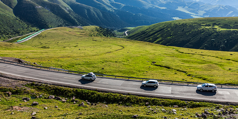 春日消費熱潮全面開啟 藥食同源、顏值經濟成消費新風口
